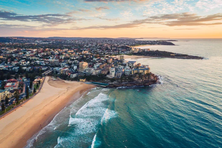 northern beaches vets